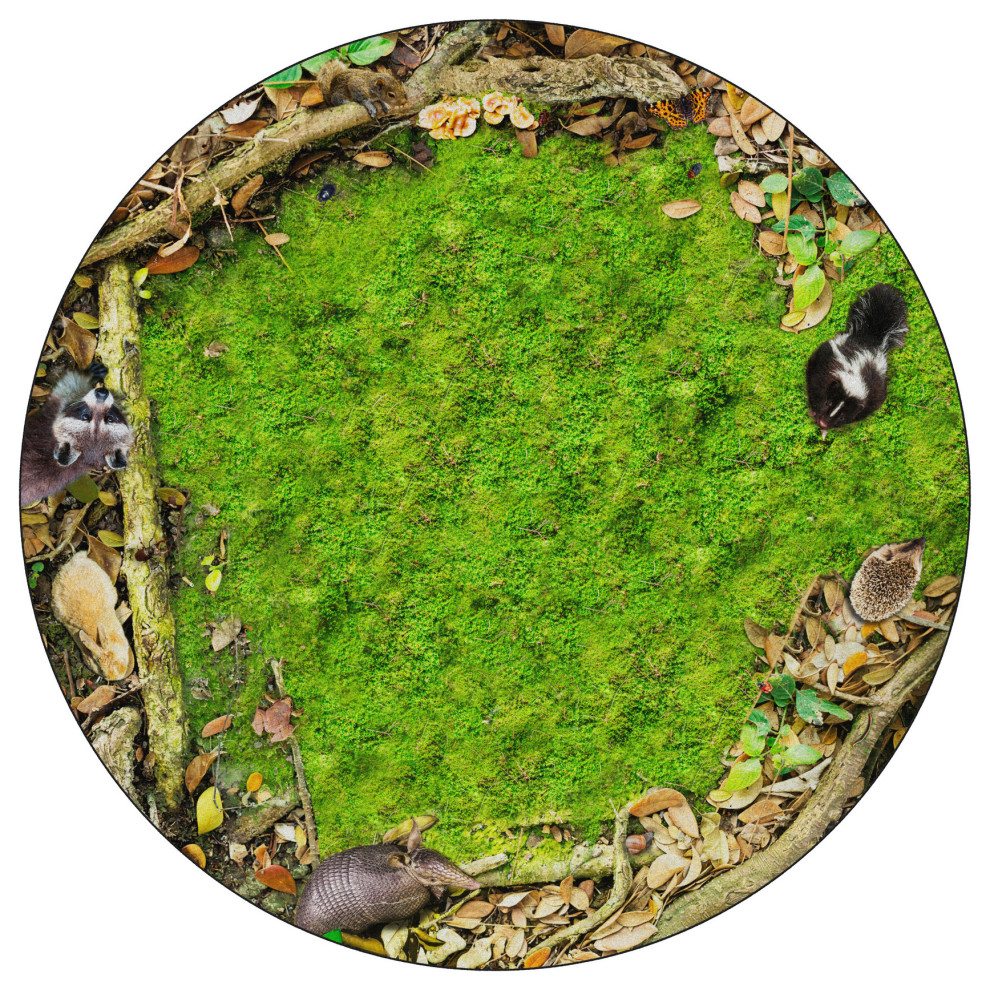 Flagship Carpets VA1005-71FS 12' Round Forest Floor Seating Educational Rug