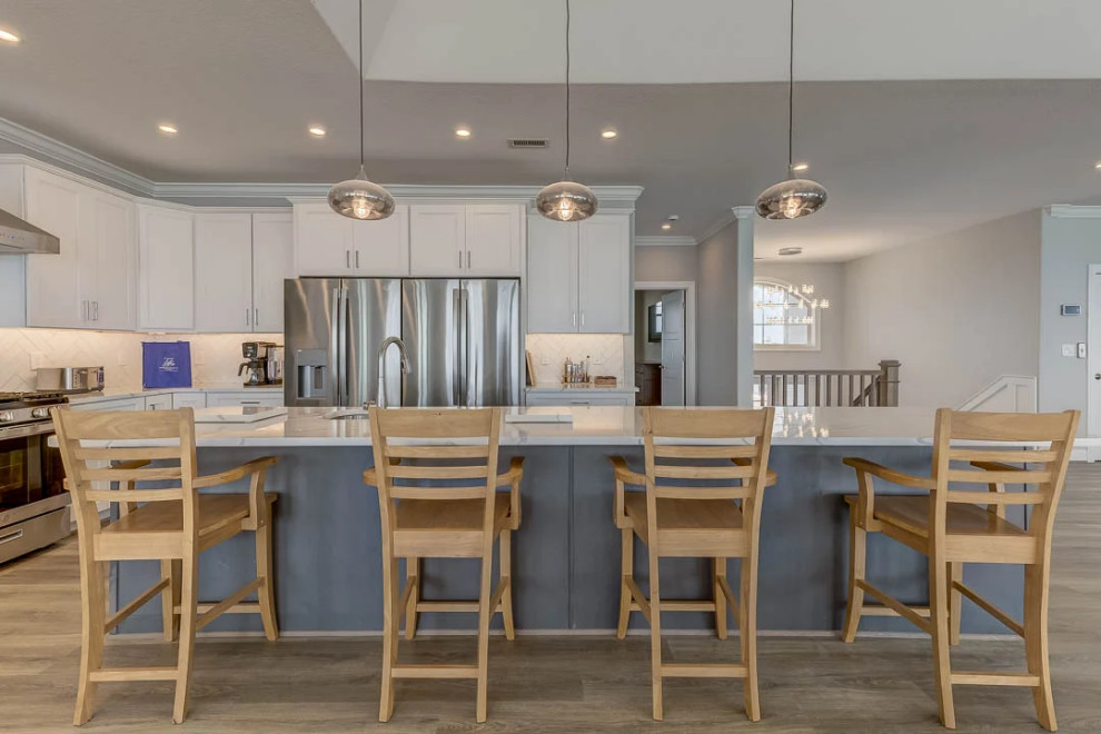 Dolphin Watch (2023)