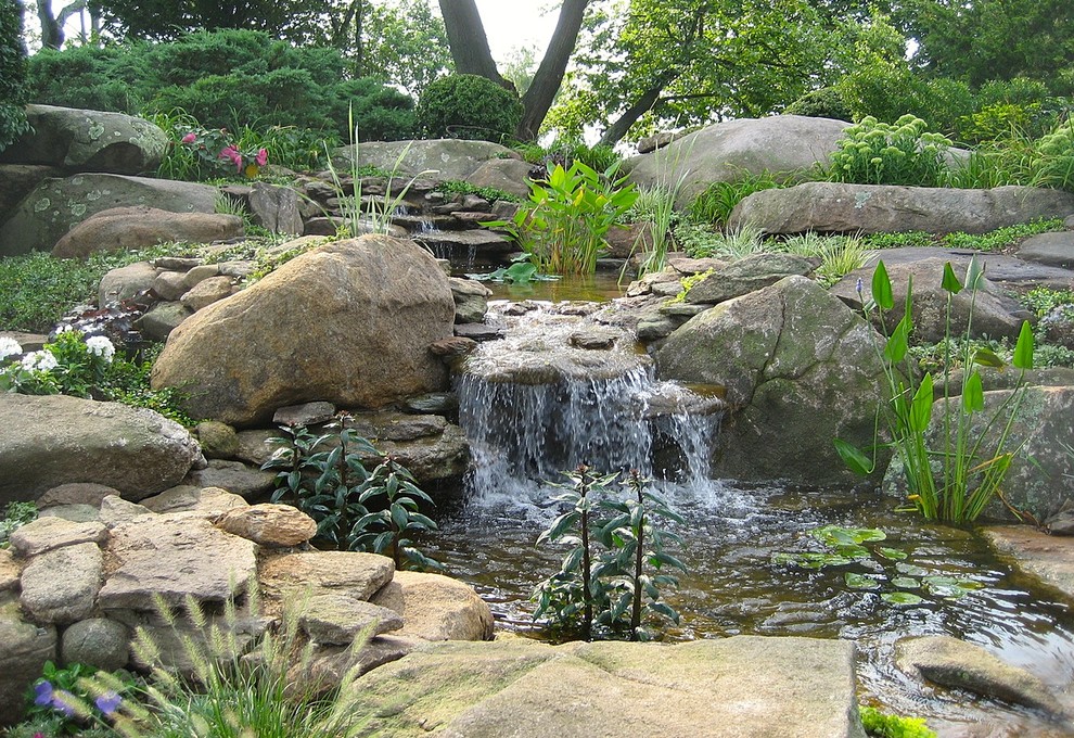 Backyard garden in Bridgeport with natural stone pavers and with waterfall.