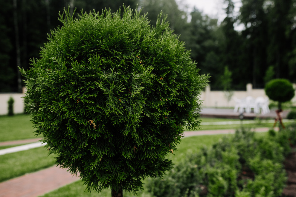 Благоустройство частного домовладения