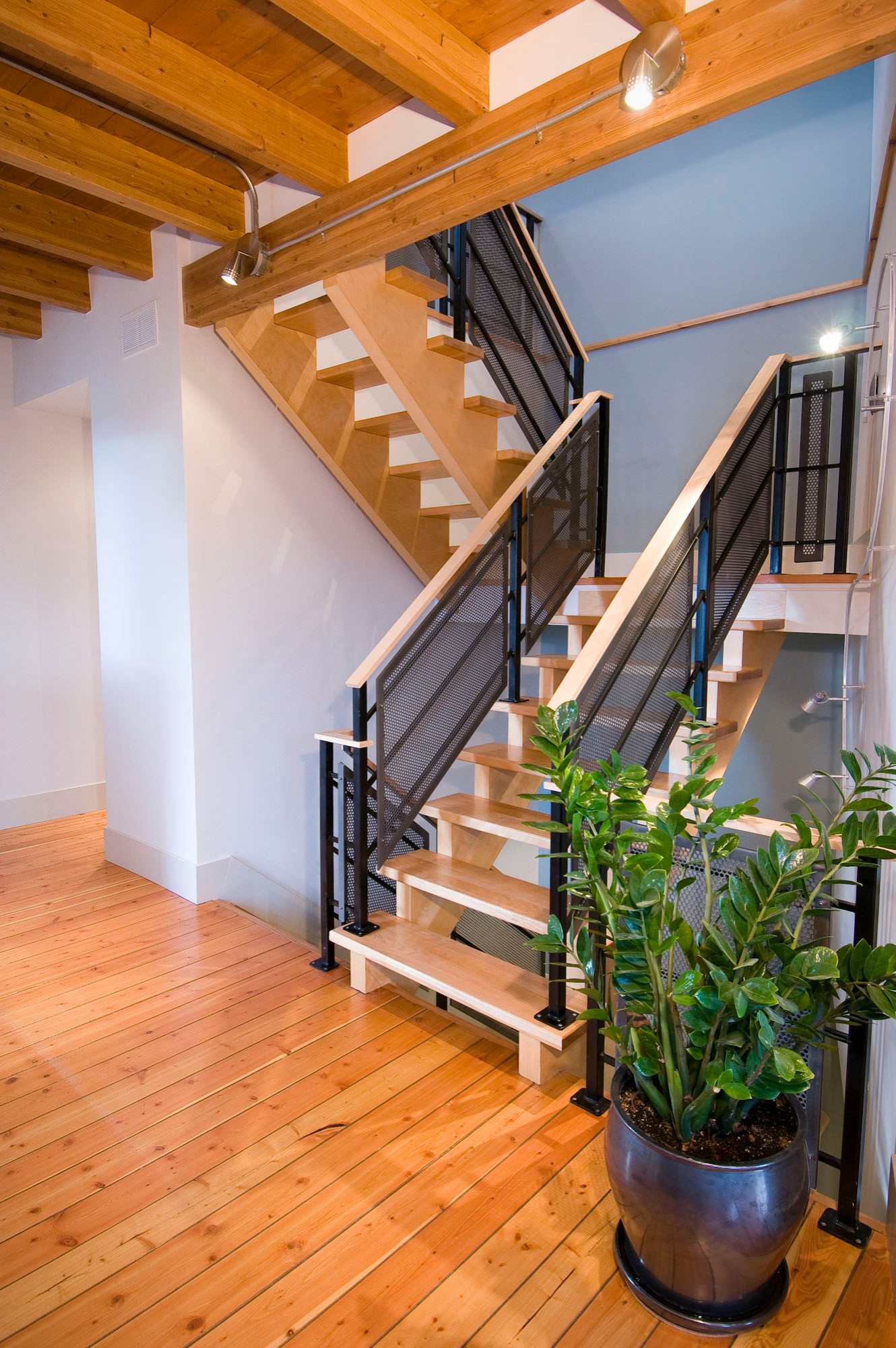 Creekside House