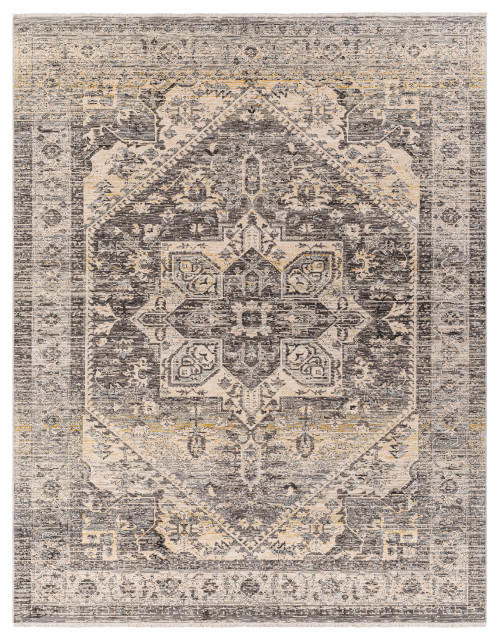 Chicago Rug Chicago CHG-2316 Machine Woven Area Rug, 7'10