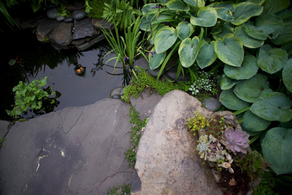 Elegant pool photo in Boston