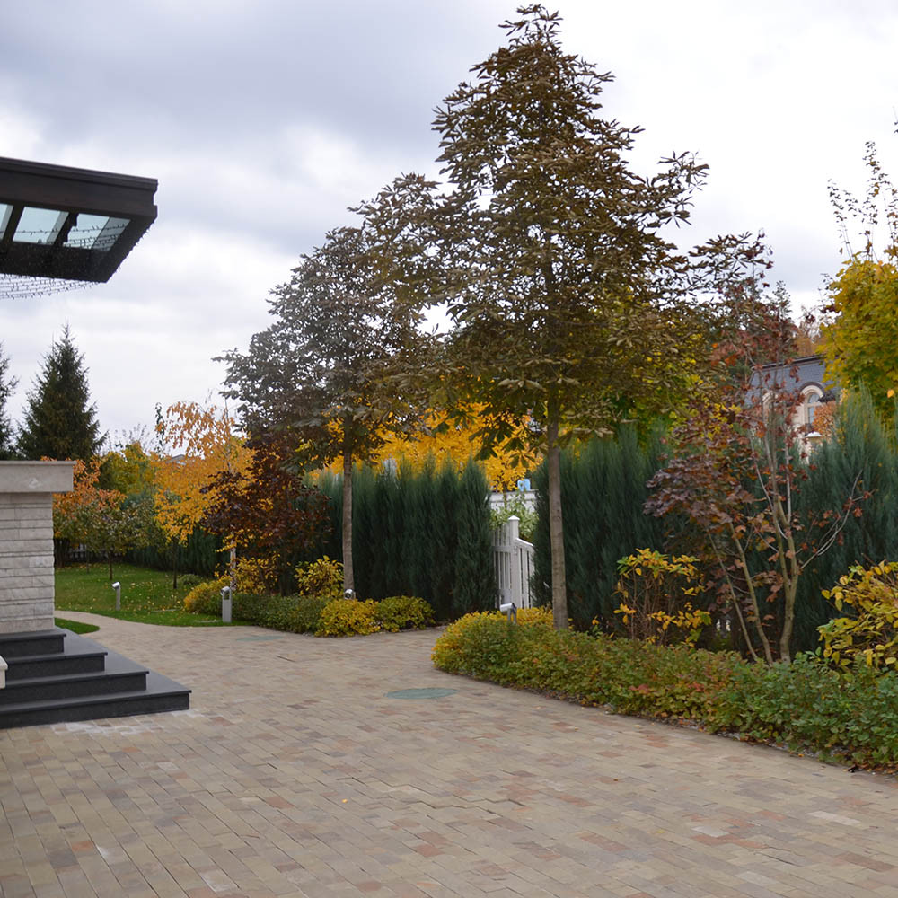 Современный сад в КП "Бенелюкс" вилла 1