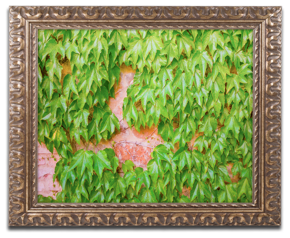 Ariane Moshayedi Ivy Wall 2 Ornate Framed Art Traditional Prints And Posters By Trademark Global