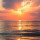 savannah_jackson11