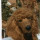 Last commented by Theresa Gismondi Pragliola