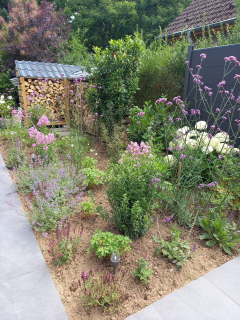 Terrassenerneuerung contemporary-garden