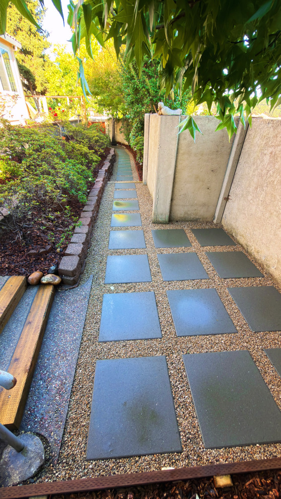 Complete Backyard & Landscape Renovation