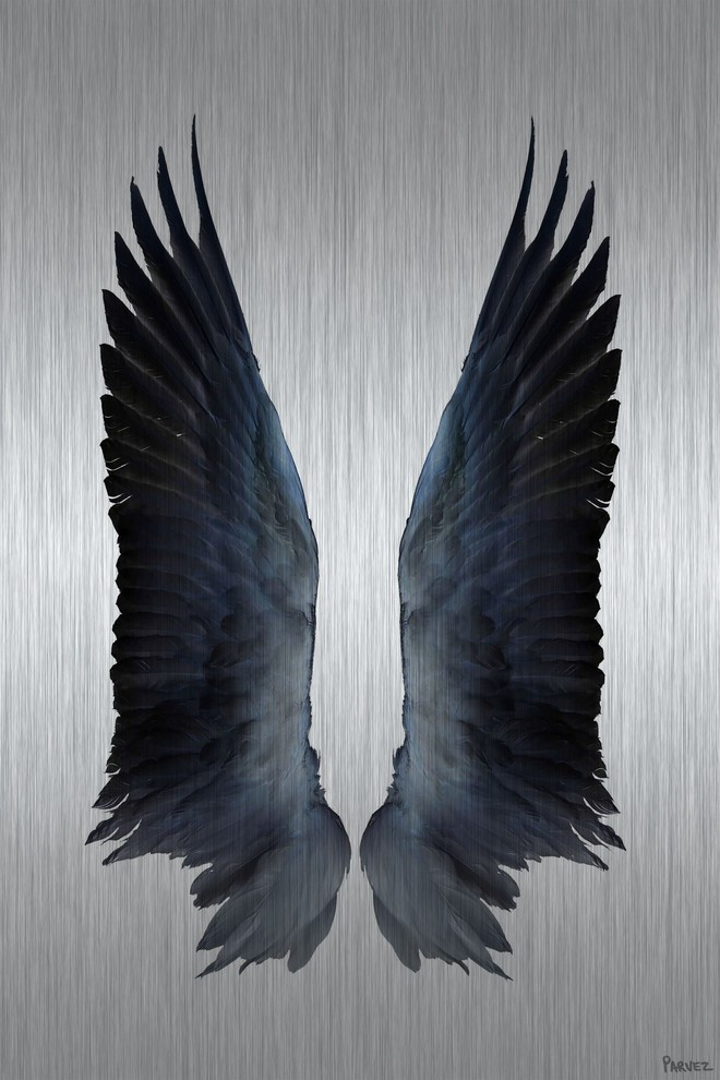 "Black Wings" Print on Brushed Aluminum, 30"x45"