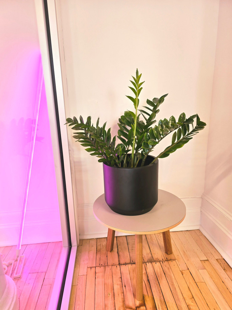 Soho tech office