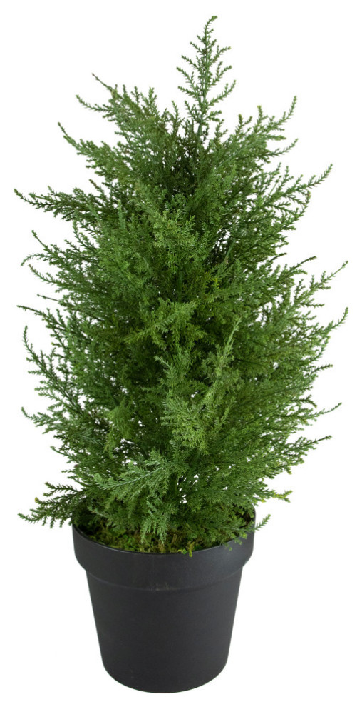 2' Artificial Cedar Pine Petite Arborvitae Tree in Round Pot Unlit