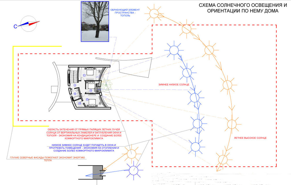 “Тополиный дом”