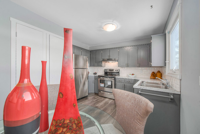 Full Duplex Reno Photos transitional-kitchen