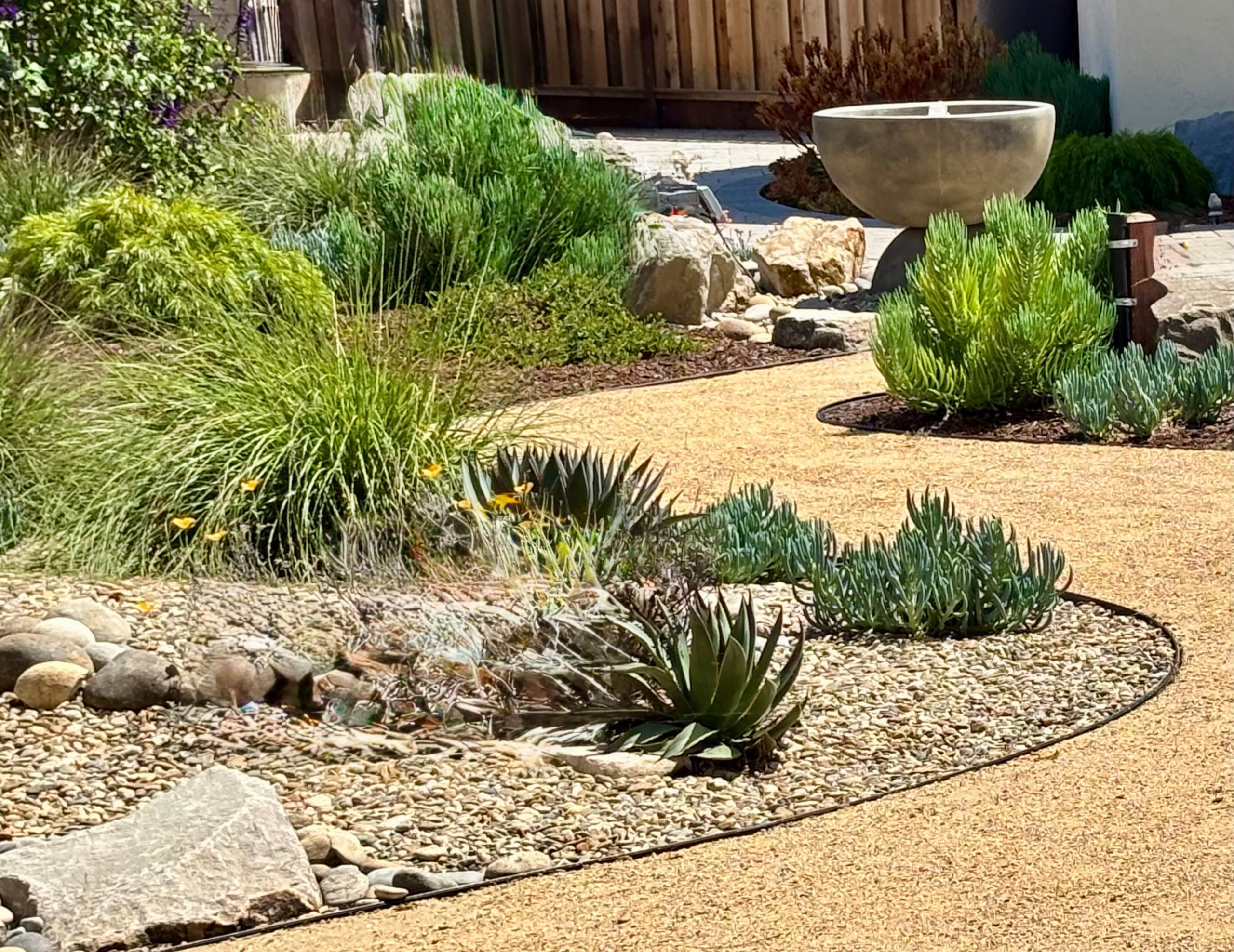 Sunny Fremont oasis