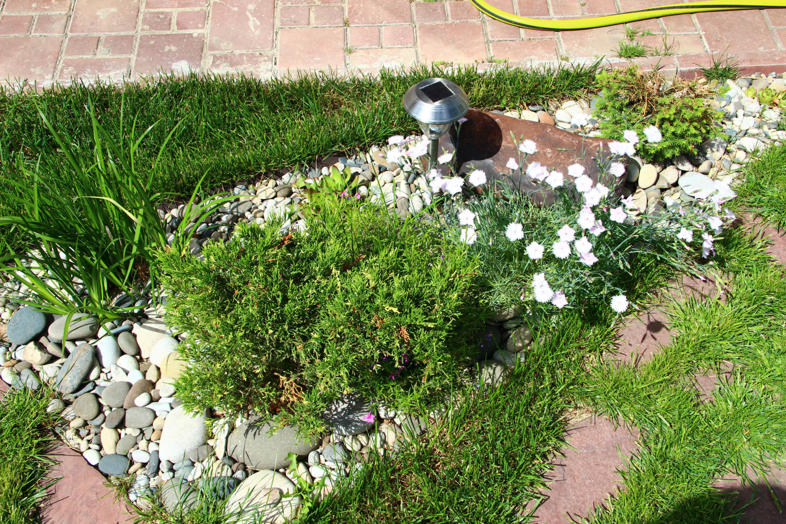 Озеленение под ключ от Ландшафт74