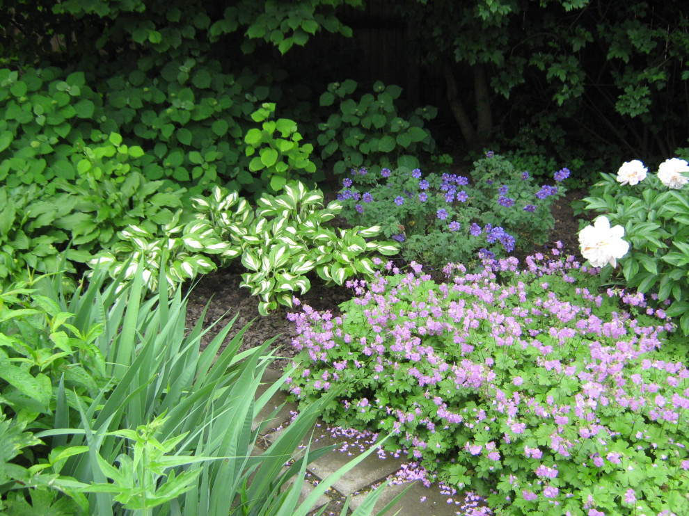 Фотографии моих работ