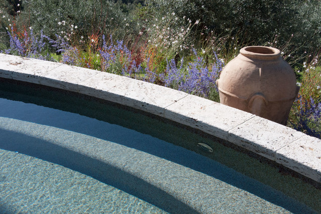 Swimming pool and garden in Tuscany contemporaneo-piscina