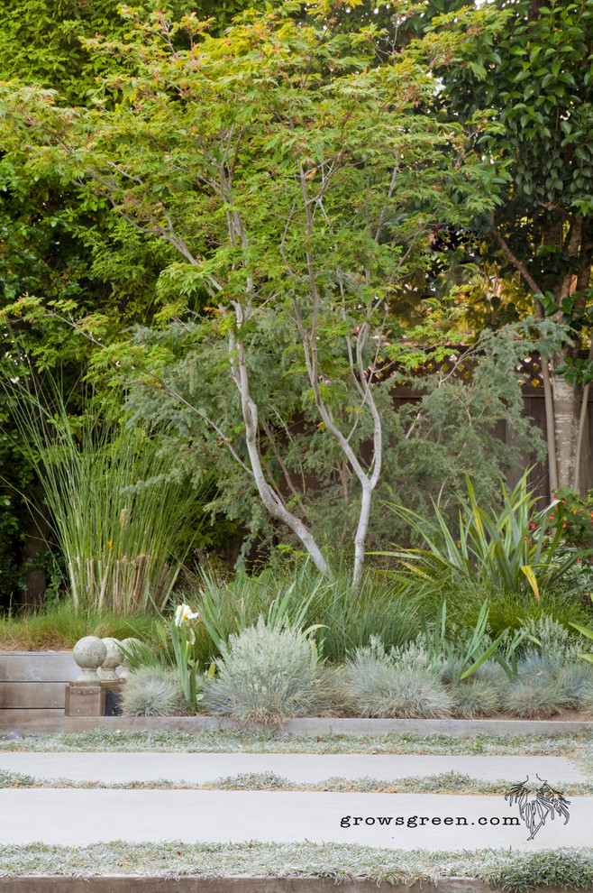 Photo of a mid-sized modern backyard full sun xeriscape in San Francisco with a fire feature and concrete pavers.