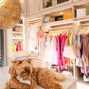 CLOSET ENVY Project Photos Reviews Atlanta GA US Houzz