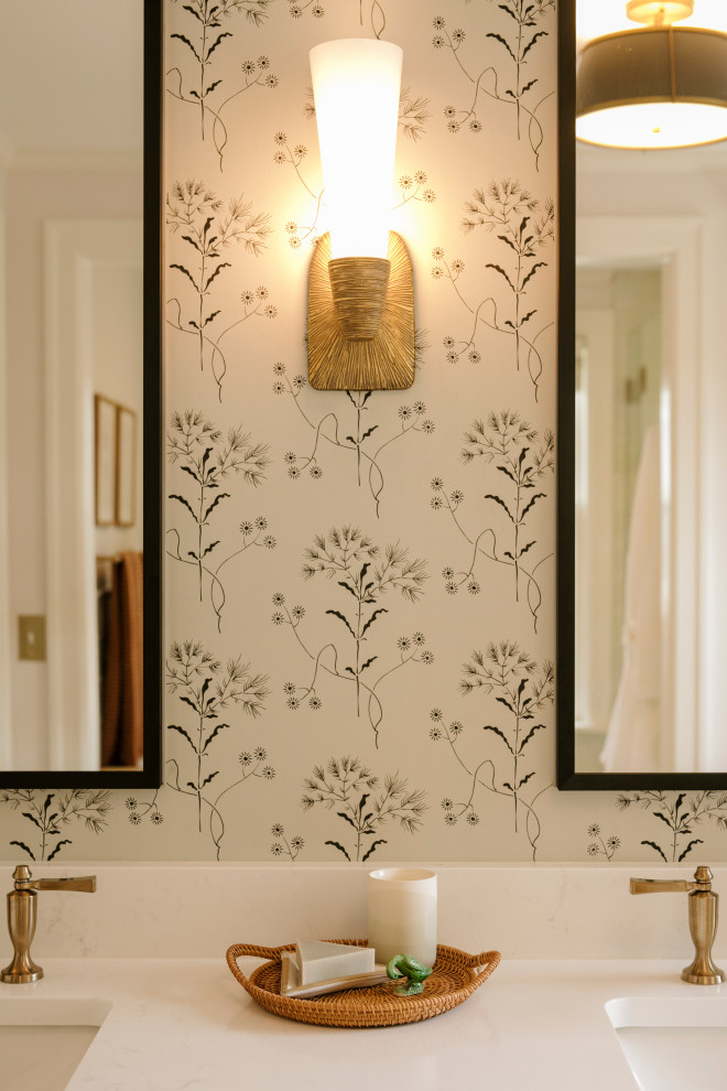 Home design - transitional home design idea in Minneapolis