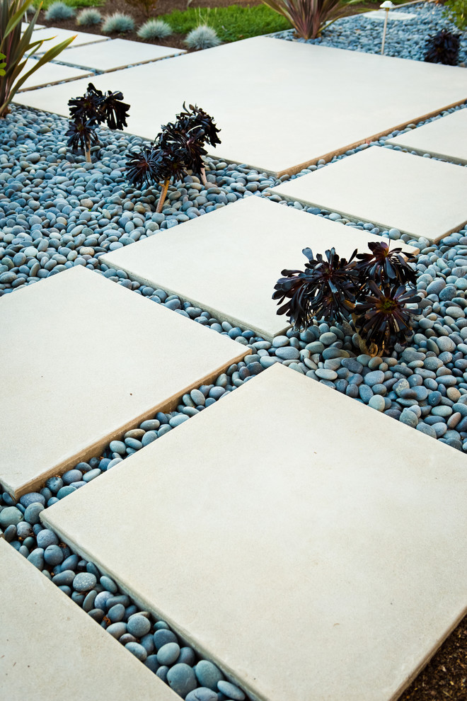 This is an example of a mid-sized modern front yard garden in San Francisco with concrete pavers.