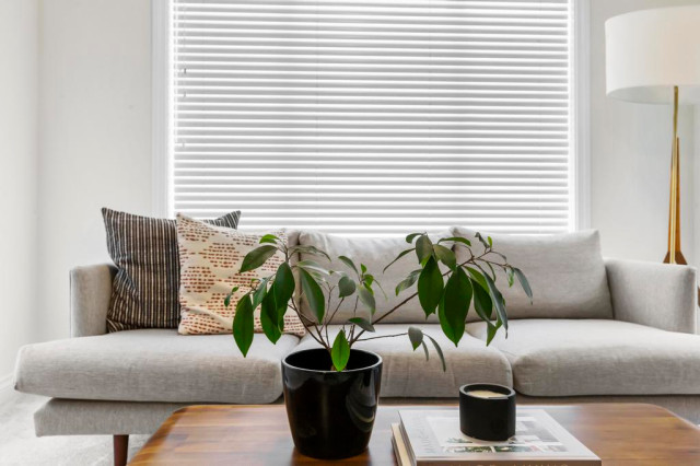 Japandi 2.0 scandinavian-living-room