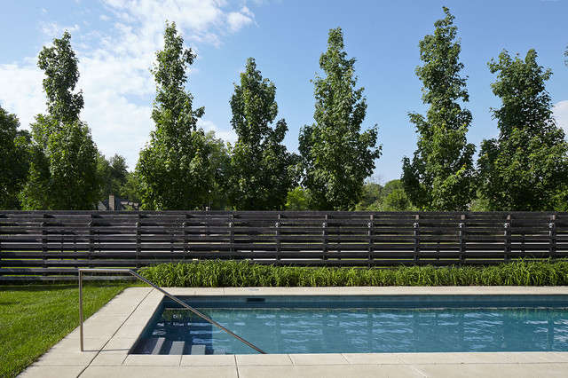 Aaron/Levin Residence contemporary-swimming-pool