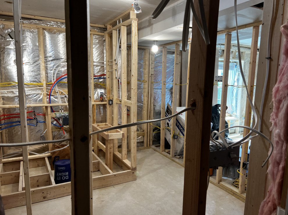 Basement Remodel