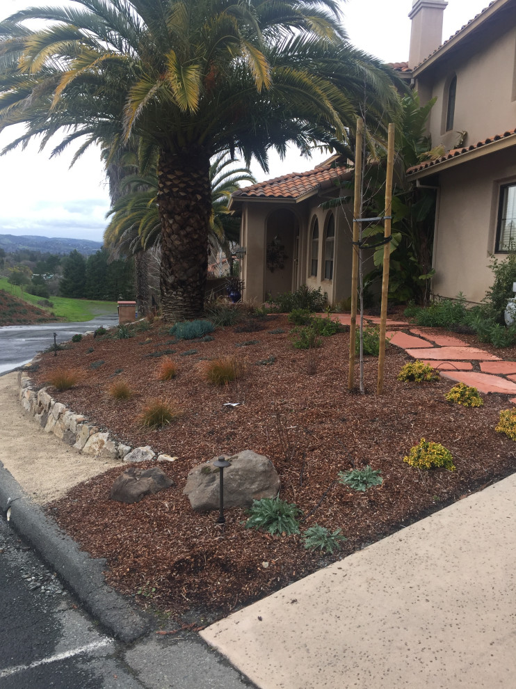 Spanish style pool and landscaping