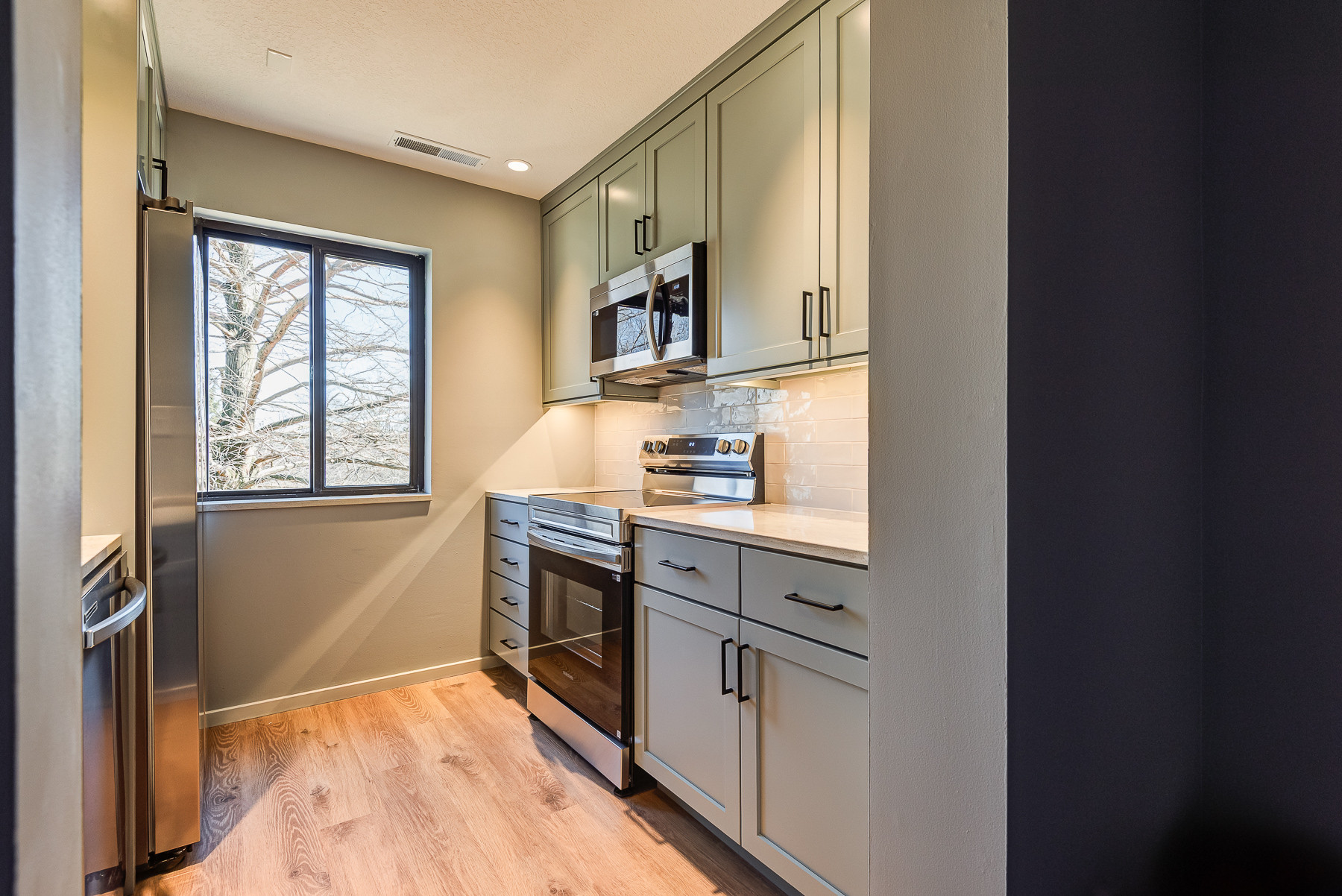 Modern Kitchen Champaign, IL