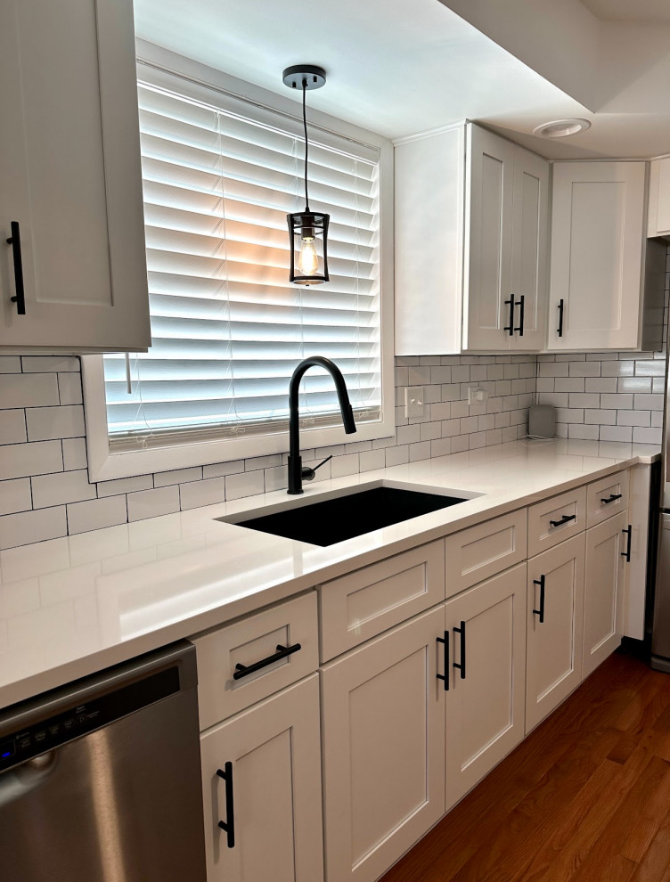 Tinley Park Kitchen Renovation - Modern - Kitchen - Other - by Moraine ...