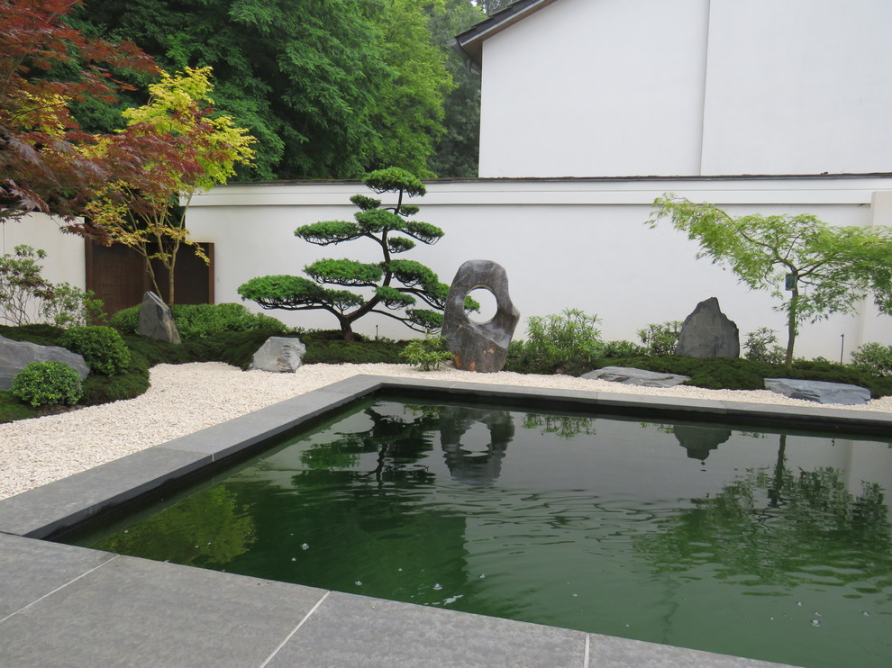 Mittelgroßer Asiatischer Schwimmteich hinter dem Haus in rechteckiger Form mit Betonboden in Sonstige