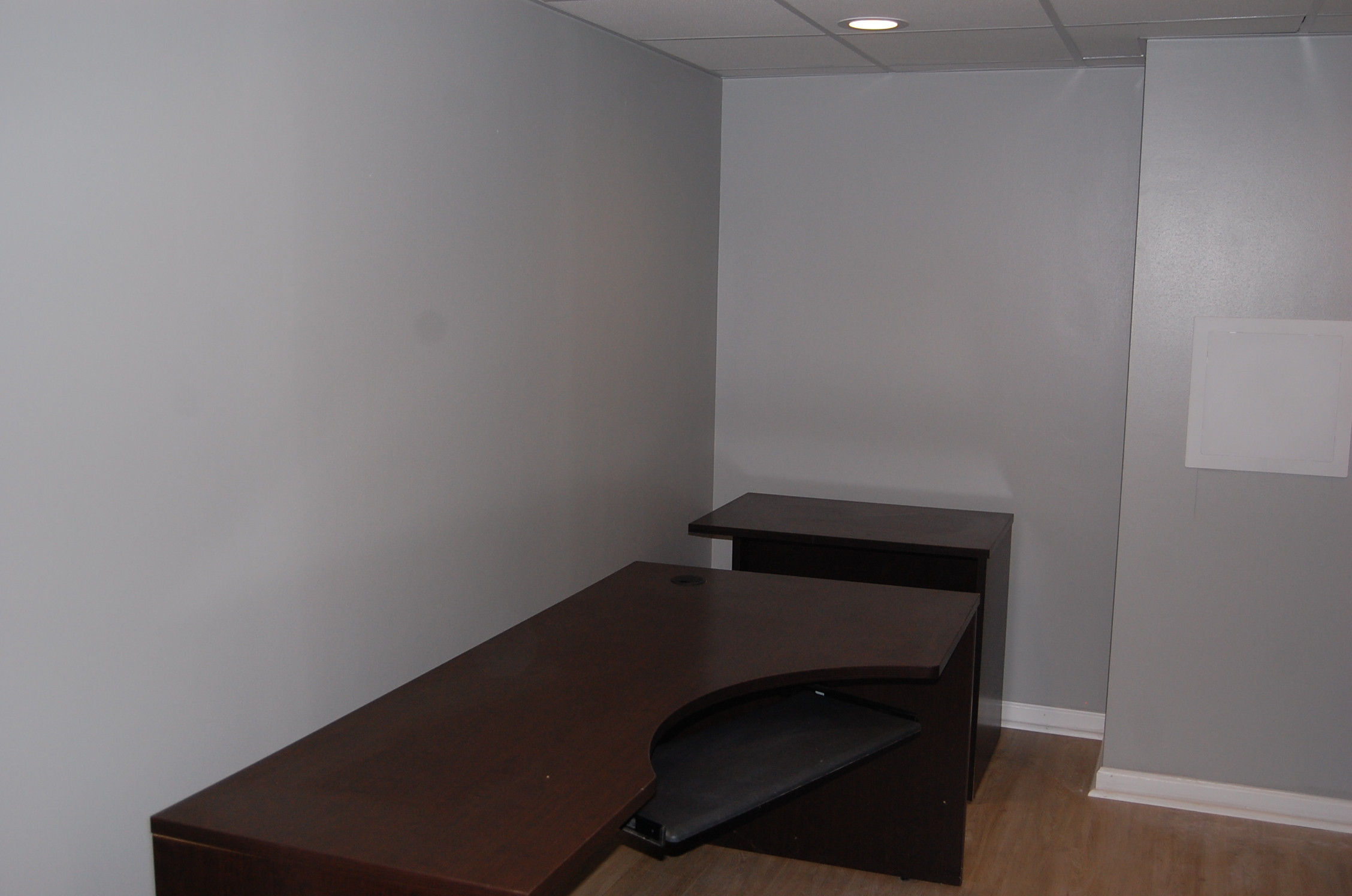 Basement office and work out area