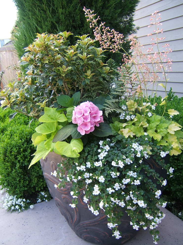 Design ideas for an eclectic garden in Seattle with a container garden.