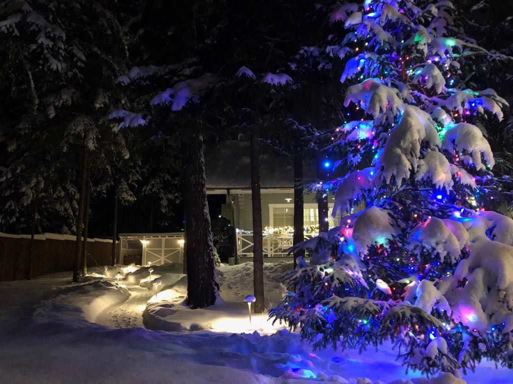 Ландшафтное освещение