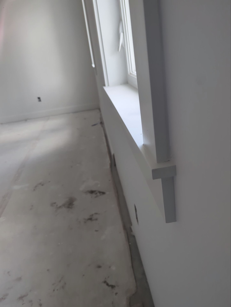 Safety Harbor Project #5 2024-2025