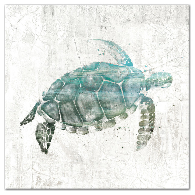Turquoise Sea Turtle Canvas Wall Art Beach Style Prints And Posters By Designs Direct