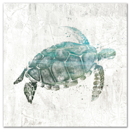 Turquoise Sea Turtle Canvas Wall Art, 24"x24"