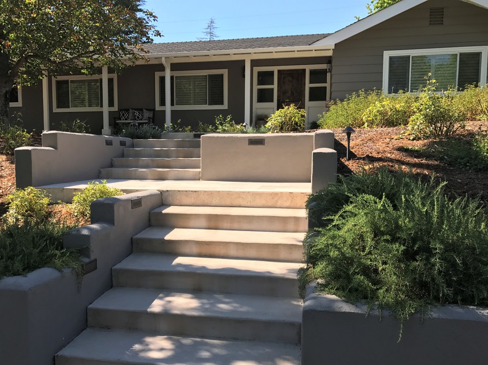 Design ideas for a mid-sized transitional front yard partial sun garden in San Francisco with a garden path.