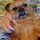 sheri_nwok