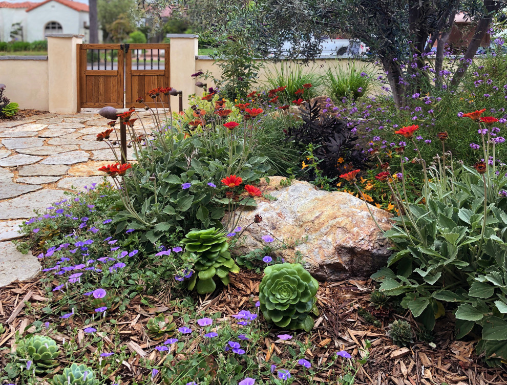 Foto di un piccolo giardino xeriscape boho chic esposto in pieno sole davanti casa in primavera con un ingresso o sentiero, pavimentazioni in pietra naturale e recinzione in pietra