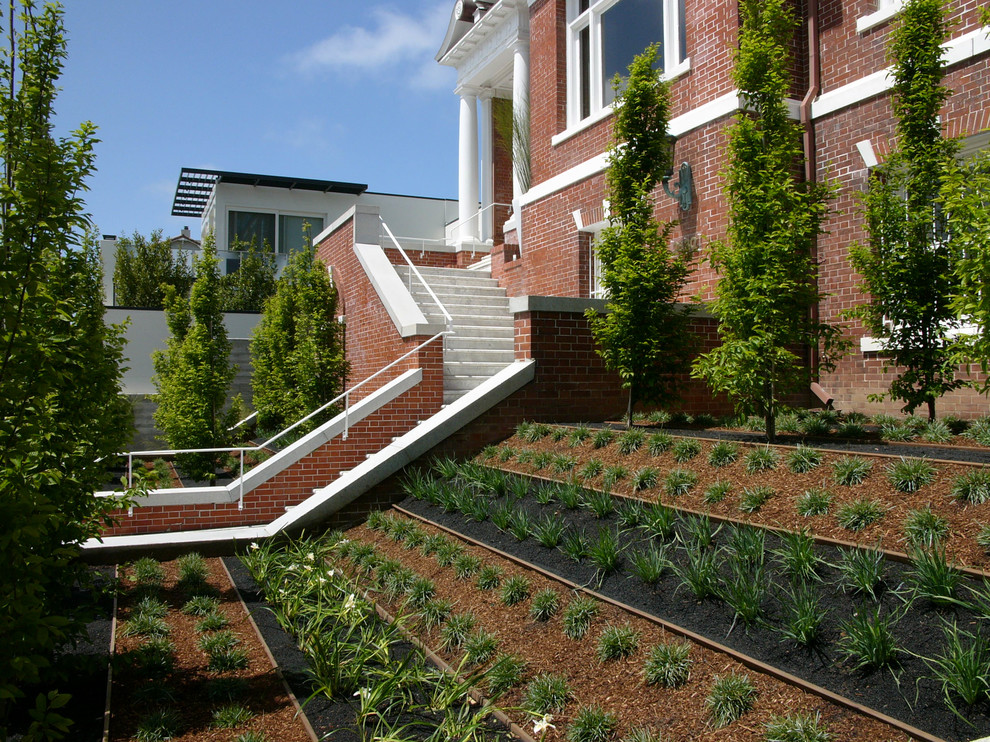 Modern sloped xeriscape in San Francisco.