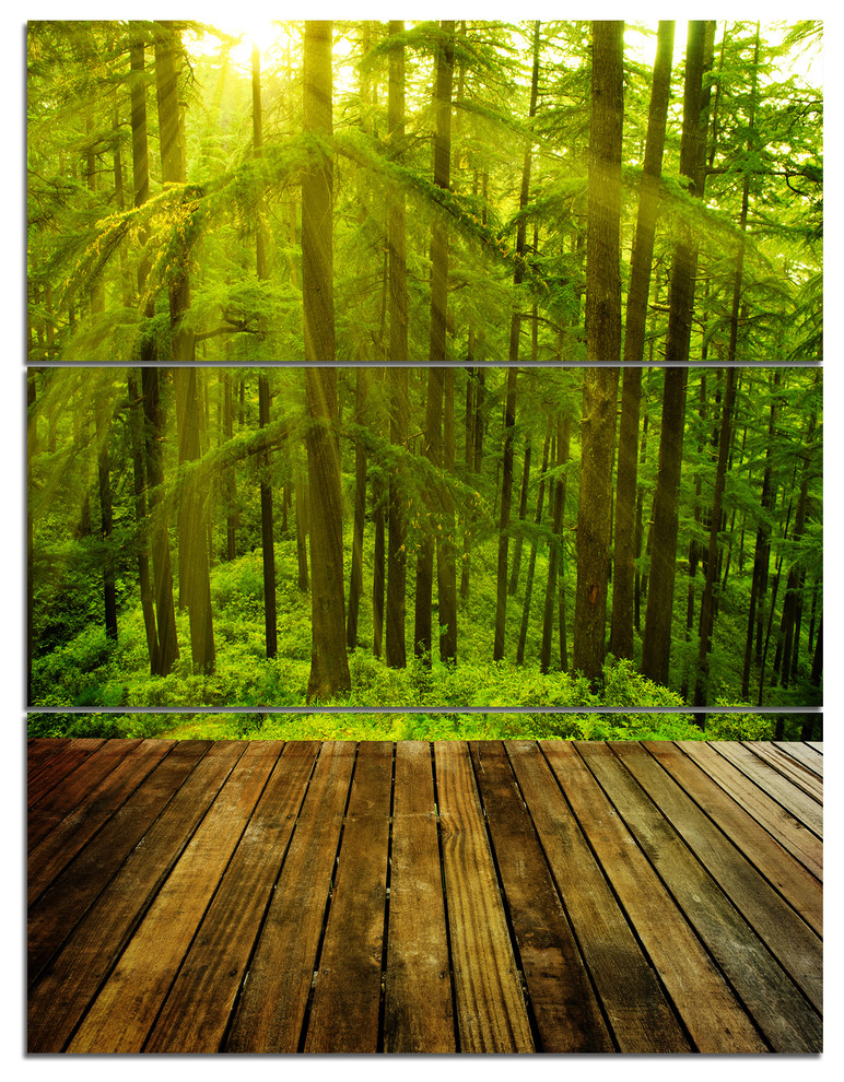 "Golden Sunlight in Pine Forest" Photo Canvas Print, 3 Panels, 28"x36", 28"x36" 3 Panel
