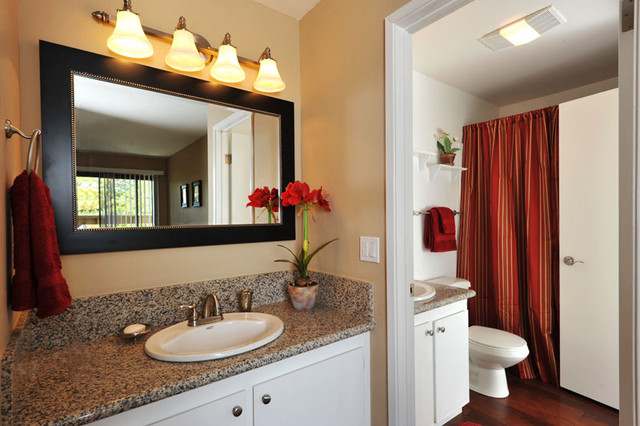 Chic Bathroom american-traditional-bathroom