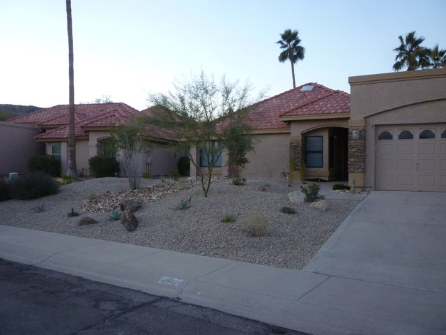 front yard desert landscape design
