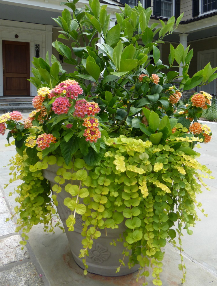 This is an example of a large traditional garden for summer in New York with a container garden.