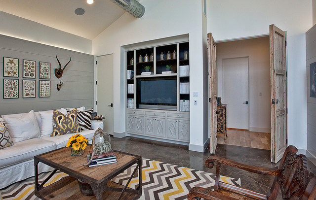 Cat Mountain contemporary-living-room