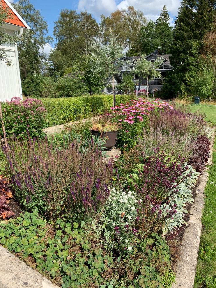 Idéer för att renovera en liten vintage trädgård i full sol blomsterrabatt och framför huset på hösten