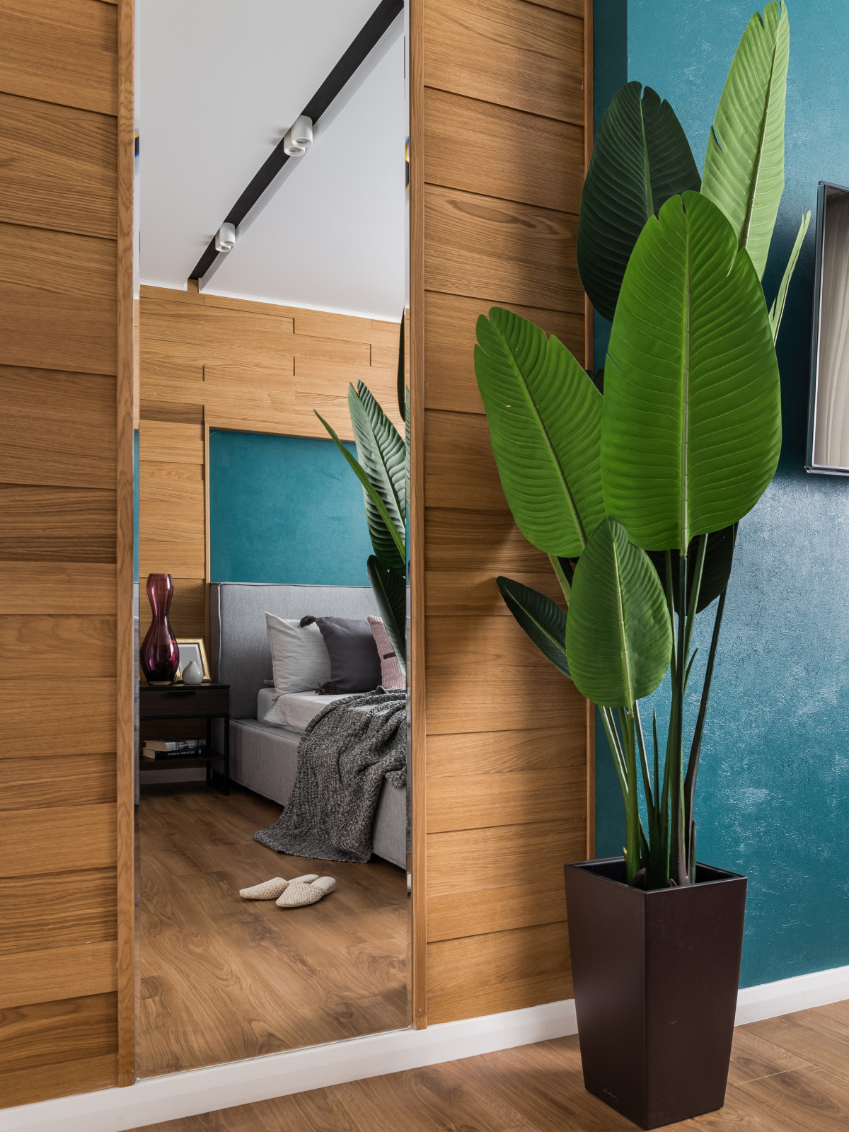 Магия Цвета